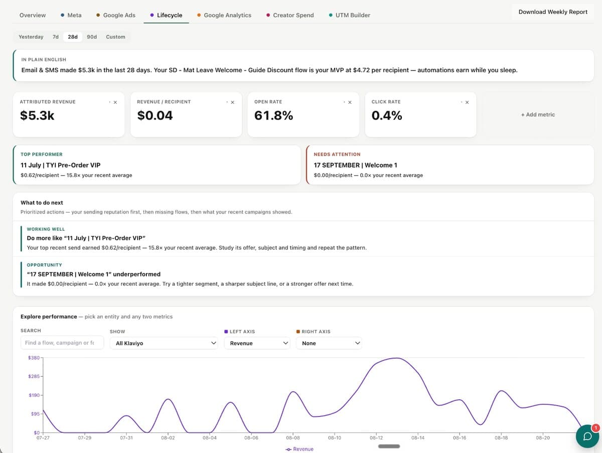 Lifecycle email performance from Klaviyo shown beside paid advertising results.