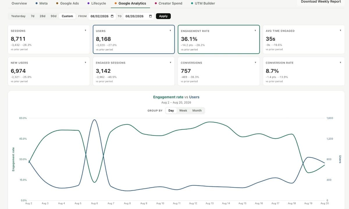 Google Analytics sessions and conversions displayed next to advertising channel data.